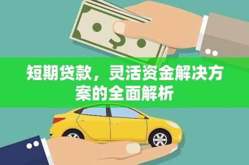 集集短期贷款，灵活资金解决方案的全面解析