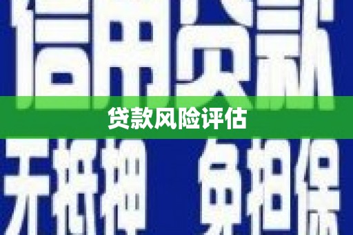 集集贷款风险评估