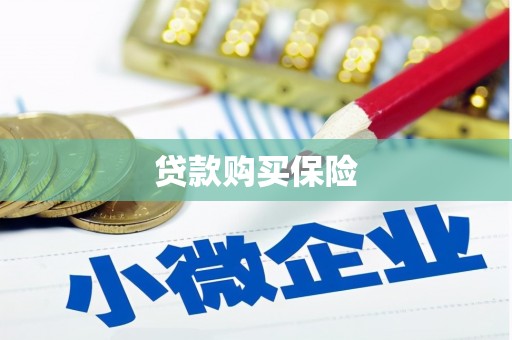 集集贷款购买保险
