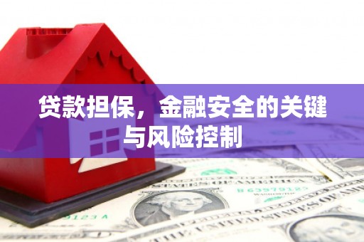 集集贷款担保，金融安全的关键与风险控制
