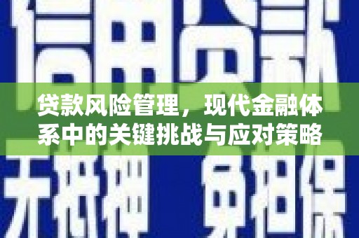 集集贷款风险管理，现代金融体系中的关键挑战与应对策略