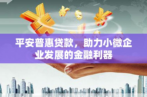 集集平安普惠贷款，助力小微企业发展的金融利器