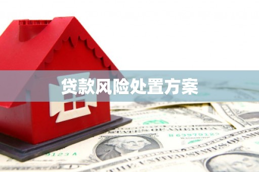 集集贷款风险处置方案