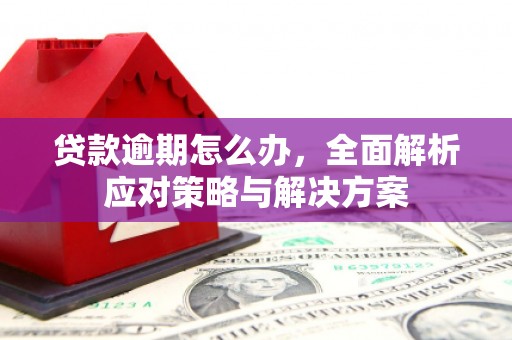 集集贷款逾期怎么办，全面解析应对策略与解决方案