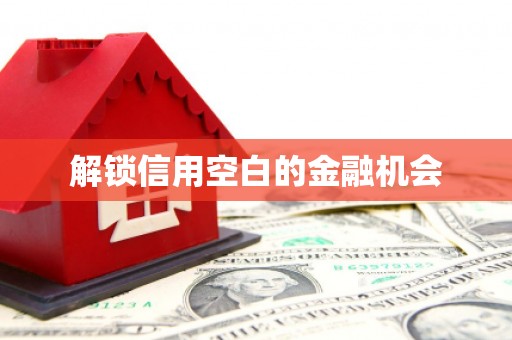 集集解锁信用空白的金融机会