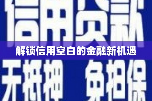 集集解锁信用空白的金融新机遇