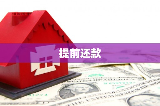 集集提前还款