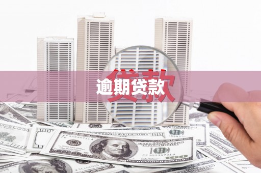 集集逾期贷款
