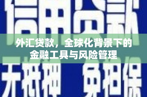 集集外汇贷款，全球化背景下的金融工具与风险管理
